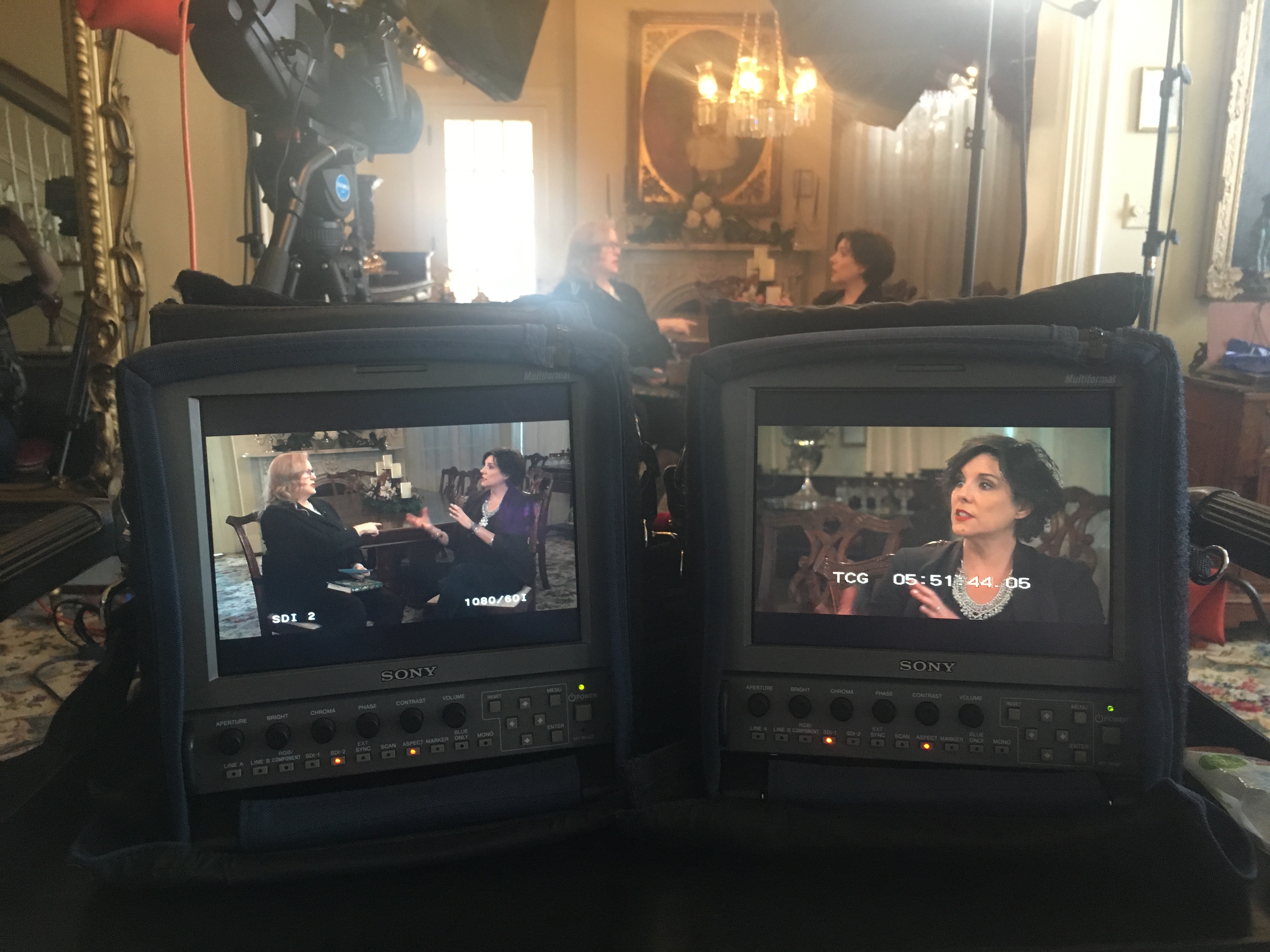 A Dangerous Collaboration | Deanna Raybourn 8