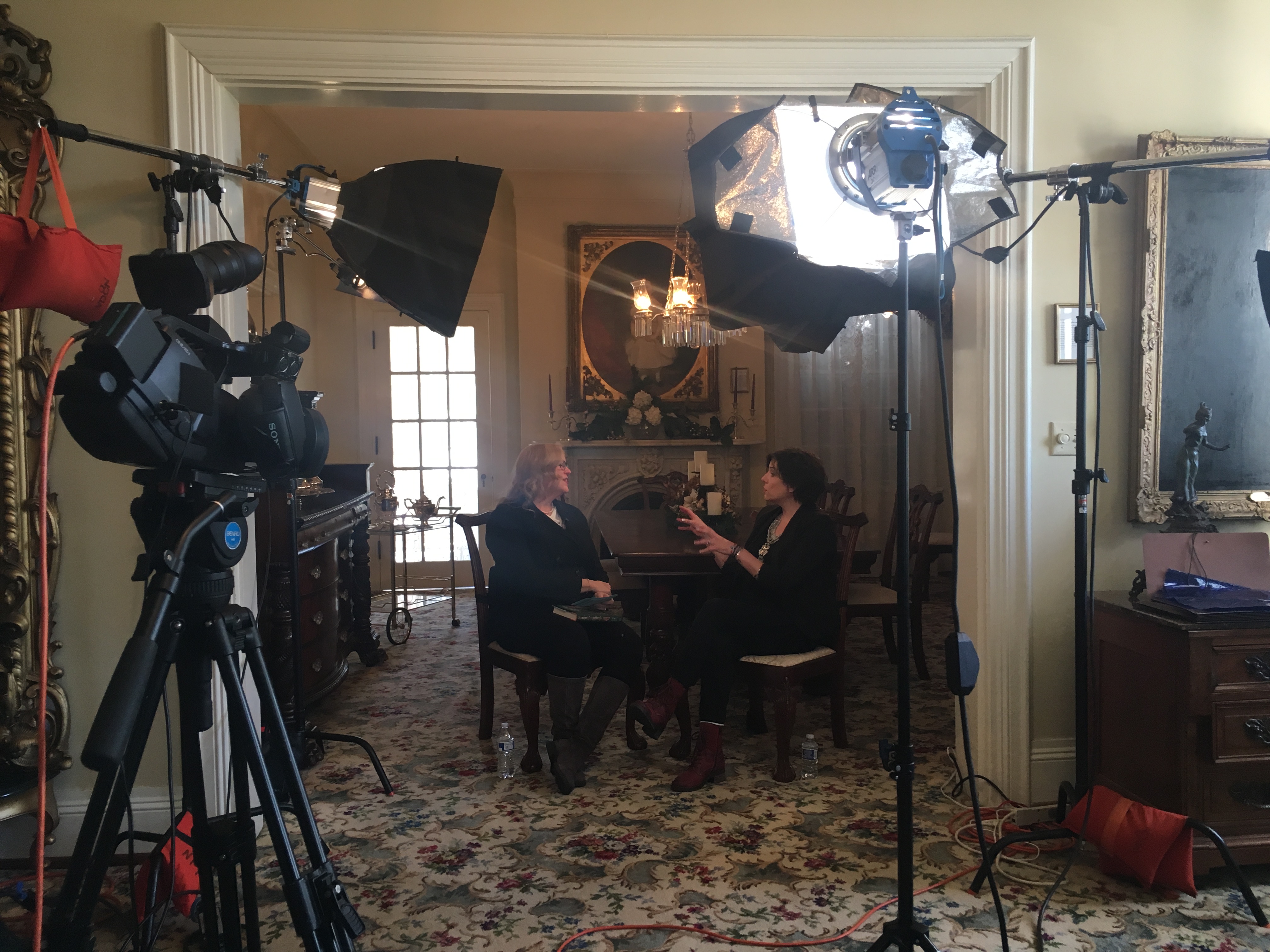 A Dangerous Collaboration | Deanna Raybourn 7