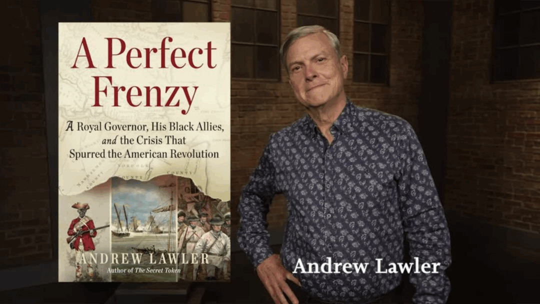 A Perfect Frenzy - AndrewLawler
